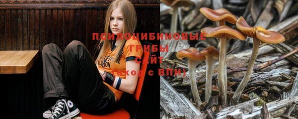 наркотики Абаза