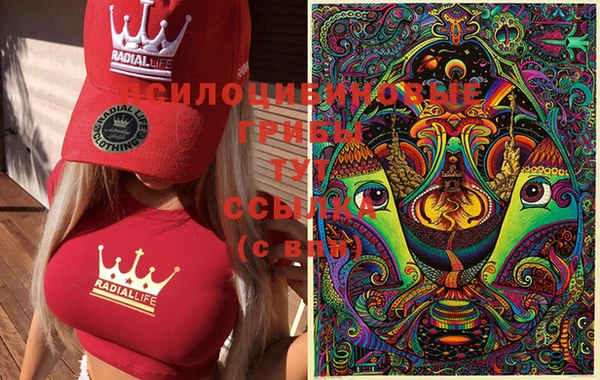 прущая мука Абдулино