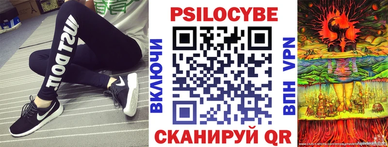 Галлюциногенные грибы GOLDEN TEACHER  наркота  Староминская 